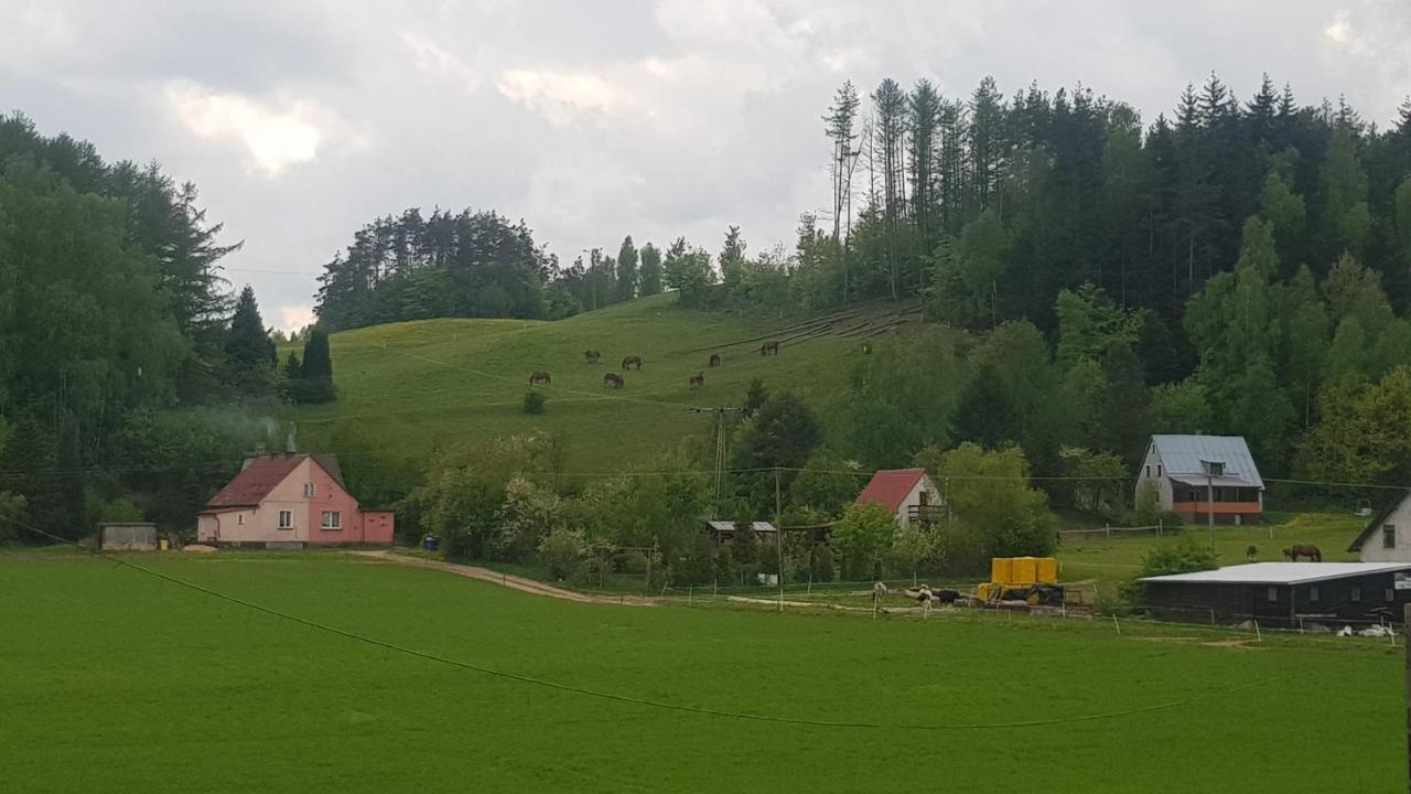 Przystanek Patulskie Pierszczewo Eksteriør bilde